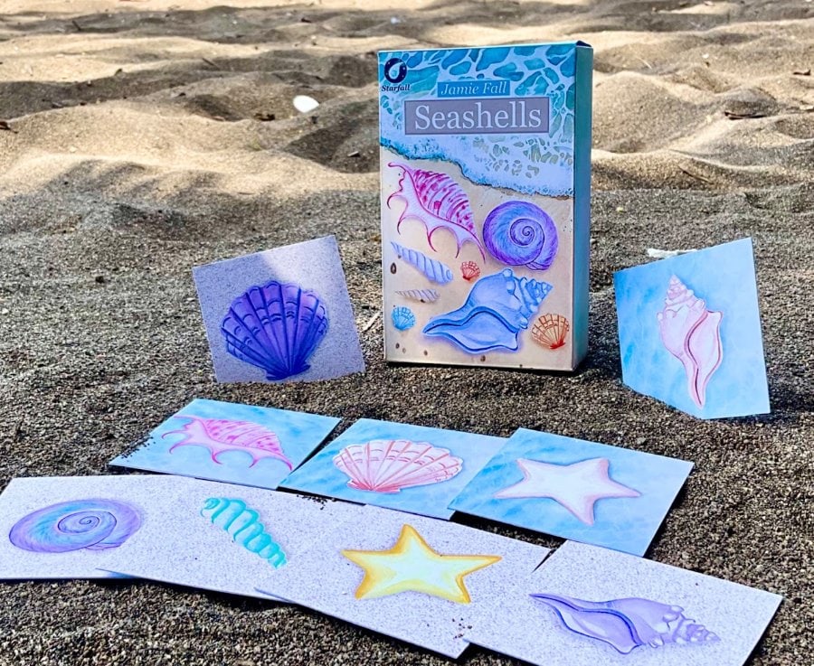 Seashells cards laid out on sand